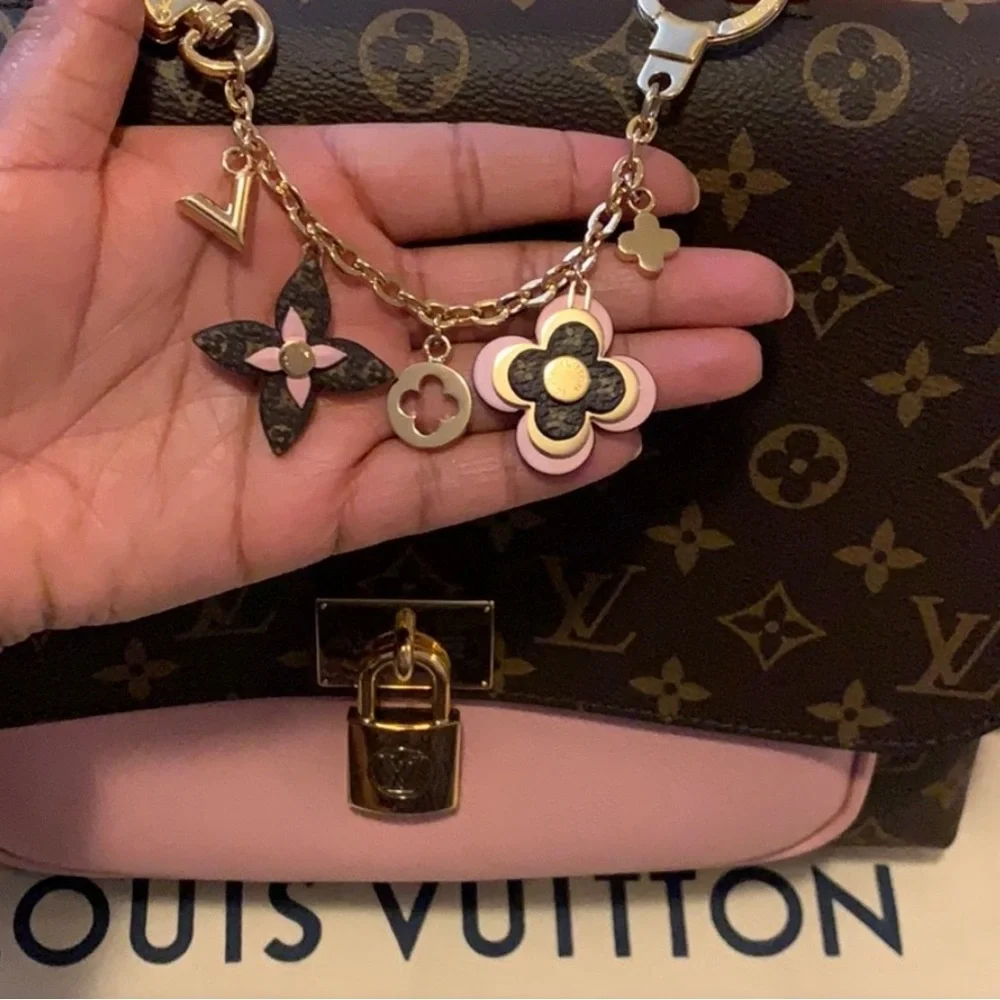 Louis Vuitton authentic louis